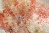 Vibrant-Red Cinnabar with Quartz - Cocineras Mine #319978-1
